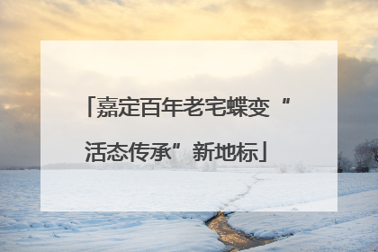 嘉定百年老宅蝶变“活态传承”新地标