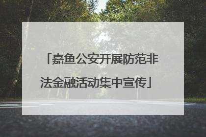 嘉鱼公安开展防范非法金融活动集中宣传