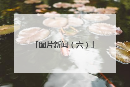 图片新闻（六）