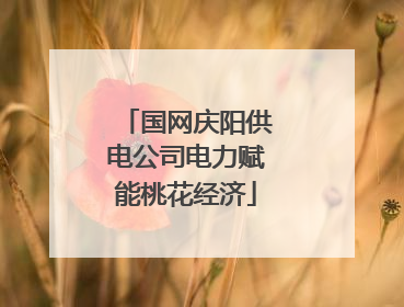 国网庆阳供电公司电力赋能桃花经济