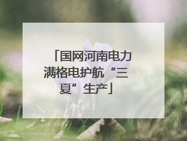 国网河南电力满格电护航“三夏”生产