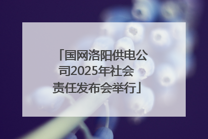 国网洛阳供电公司2025年社会责任发布会举行