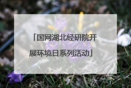 国网湖北经研院开展环境日系列活动
