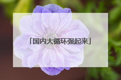国内大循环强起来