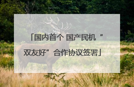国内首个 国产民机“双友好”合作协议签署