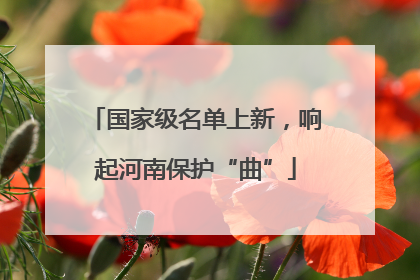 国家级名单上新，响起河南保护“曲”