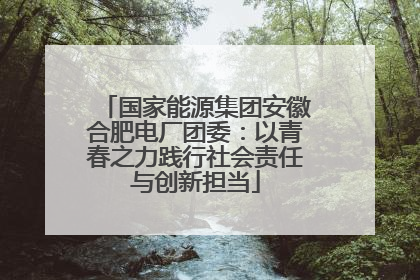国家能源集团安徽合肥电厂团委：以青春之力践行社会责任与创新担当