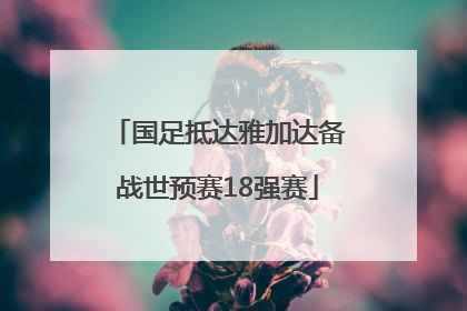 国足抵达雅加达备战世预赛18强赛