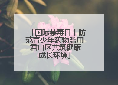 国际禁毒日丨防范青少年药物滥用 君山区共筑健康成长环境