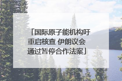 国际原子能机构吁重启核查 伊朗议会通过暂停合作法案