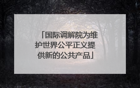 国际调解院为维护世界公平正义提供新的公共产品