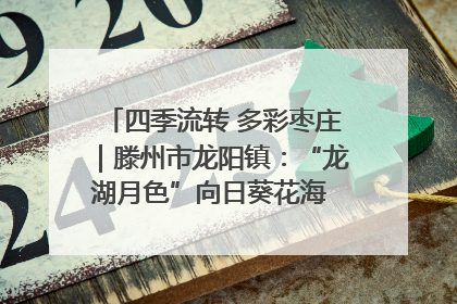四季流转 多彩枣庄｜滕州市龙阳镇：“龙湖月色”向日葵花海 绘就乡村振兴新画卷