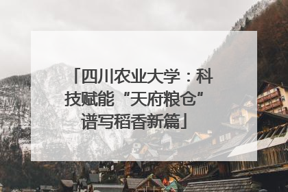 四川农业大学：科技赋能“天府粮仓”谱写稻香新篇