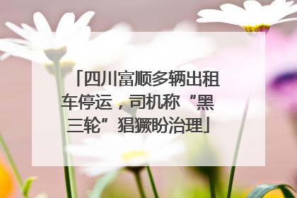 四川富顺多辆出租车停运，司机称“黑三轮”猖獗盼治理