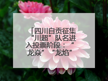 四川自贡征集“川超”队名进入投票阶段：“龙焱”“龙焰”暂居一二名