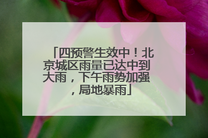 四预警生效中！北京城区雨量已达中到大雨，下午雨势加强，局地暴雨