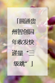 圆通贵州智创园年收发快递量“三级跳”
