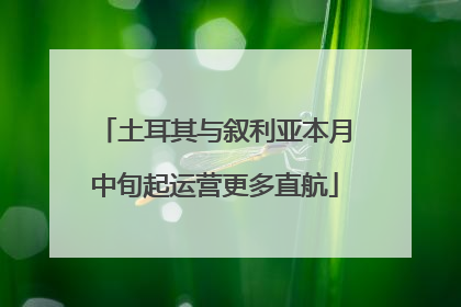 土耳其与叙利亚本月中旬起运营更多直航