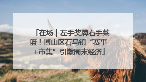 在场｜左手奖牌右手菜篮！博山区石马镇“赛事+市集”引燃周末经济