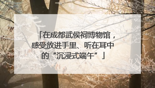 在成都武侯祠博物馆，感受放进手里、听在耳中的“沉浸式端午”