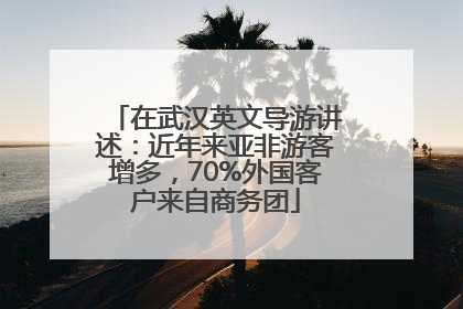 在武汉英文导游讲述：近年来亚非游客增多，70%外国客户来自商务团