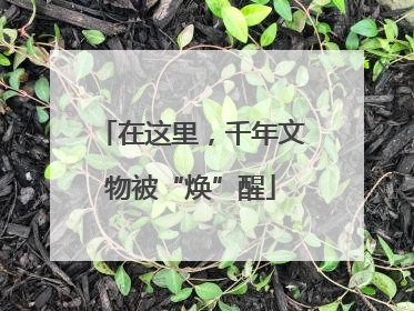 在这里，千年文物被“焕”醒