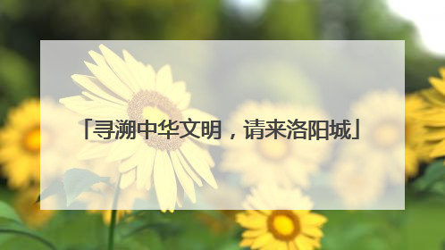 寻溯中华文明，请来洛阳城