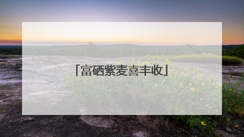 富硒紫麦喜丰收