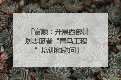 富顺：开展西部计划志愿者“青马工程”培训和慰问