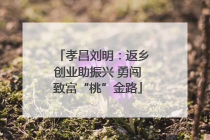 孝昌刘明：返乡创业助振兴 勇闯致富“桃”金路