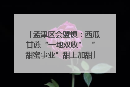 孟津区会盟镇：西瓜甘蔗“一地双收” “甜蜜事业”甜上加甜