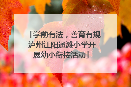 学前有法，善育有规 泸州江阳通滩小学开展幼小衔接活动