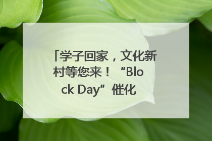 学子回家，文化新村等您来！“Block Day”催化学院式街区新生态