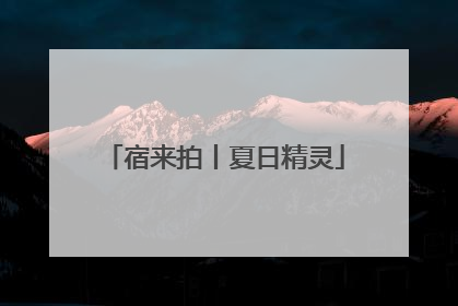 宿来拍丨夏日精灵