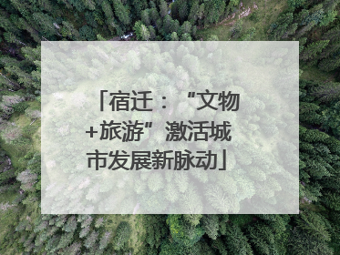 宿迁：“文物+旅游”激活城市发展新脉动