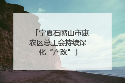 宁夏石嘴山市惠农区总工会持续深化“产改”