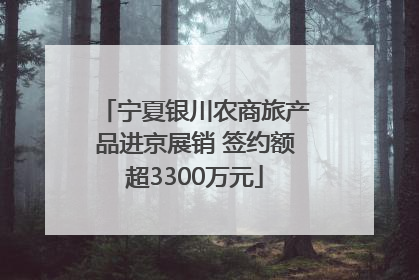 宁夏银川农商旅产品进京展销 签约额超3300万元