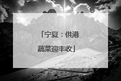 宁夏：供港蔬菜迎丰收