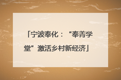 宁波奉化：“奉菁学堂”激活乡村新经济
