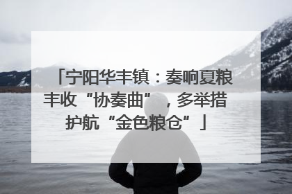 宁阳华丰镇：奏响夏粮丰收“协奏曲”，多举措护航“金色粮仓”