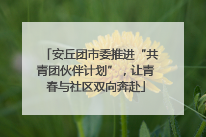 安丘团市委推进“共青团伙伴计划”，让青春与社区双向奔赴