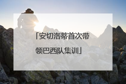 安切洛蒂首次带领巴西队集训
