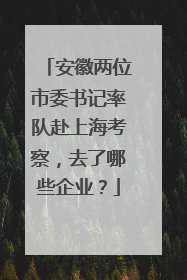 安徽两位市委书记率队赴上海考察，去了哪些企业？