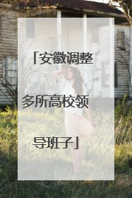 安徽调整多所高校领导班子