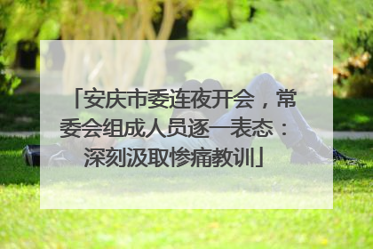 安庆市委连夜开会，常委会组成人员逐一表态：深刻汲取惨痛教训