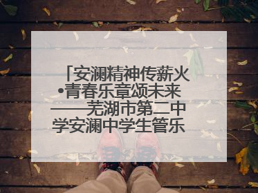 安澜精神传薪火•青春乐章颂未来——芜湖市第二中学安澜中学生管乐团第十二届公益展演圆满举行