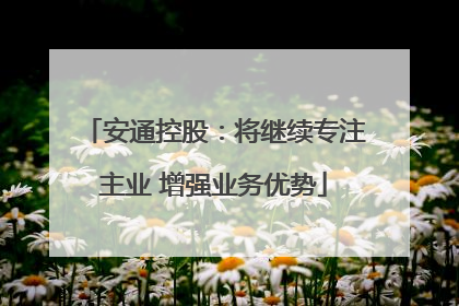 安通控股：将继续专注主业 增强业务优势