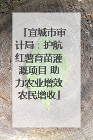 宜城市审计局：护航红薯育苗灌溉项目 助力农业增效农民增收