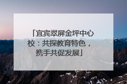 宜宾翠屏金坪中心校：共探教育特色，携手共促发展