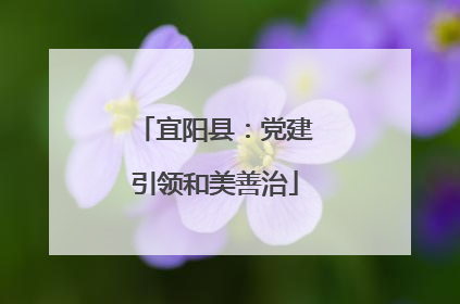宜阳县：党建引领和美善治